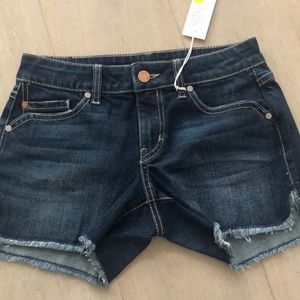 Level 99 brand new Chelsea denim shorts